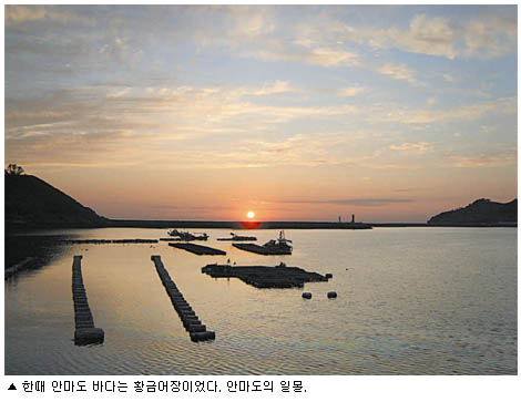 [여행가 마당] 가지말아요 사람 구경 한 지 오래요