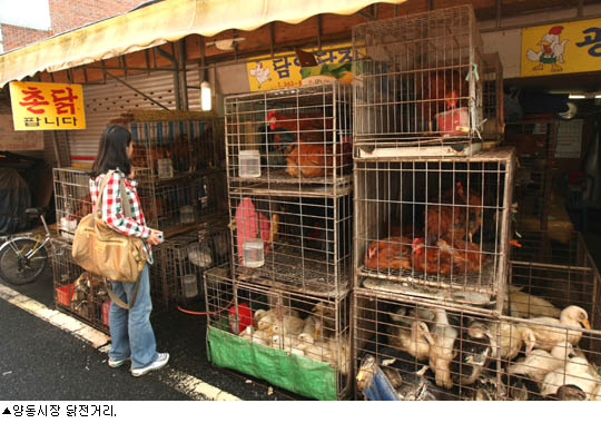 [인간주의 여행] 빛이 이끄는대로 느릿느릿, 웃고 우는 삶