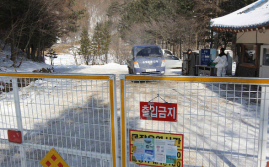 ‘동양 최대’ 대관령 목장까지 번져