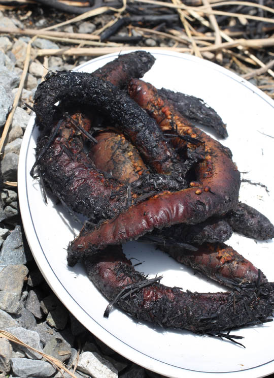 [유쾌한 식탁] 바닷가 왔으면 바다 맛을 봐야지