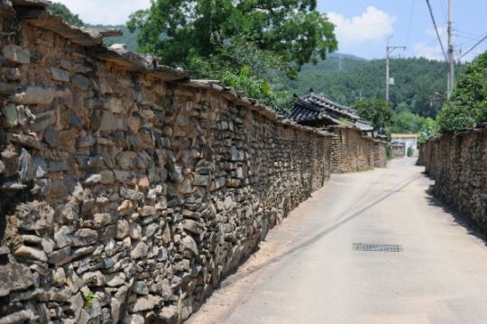 [환경사진] 학을 닮은 옛 돌담 길