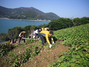 섬마을 주민 위한 의료·주거개선 서비스
