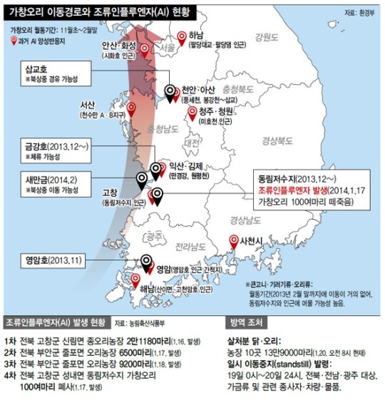 불청객 된 철새…전국 축산농가 “출입 막고 소독해도 불안”
