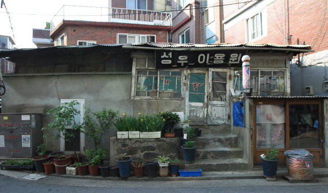 노랑·분홍 작은 들꽃, 아늑한 골목…숨은 풍경 찾기
