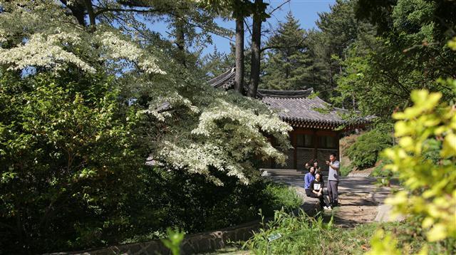 열릴듯 말듯 ‘비밀의 정원’