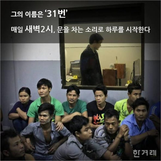 당신이 먹는 칵테일 새우의 진실 | 인스티즈