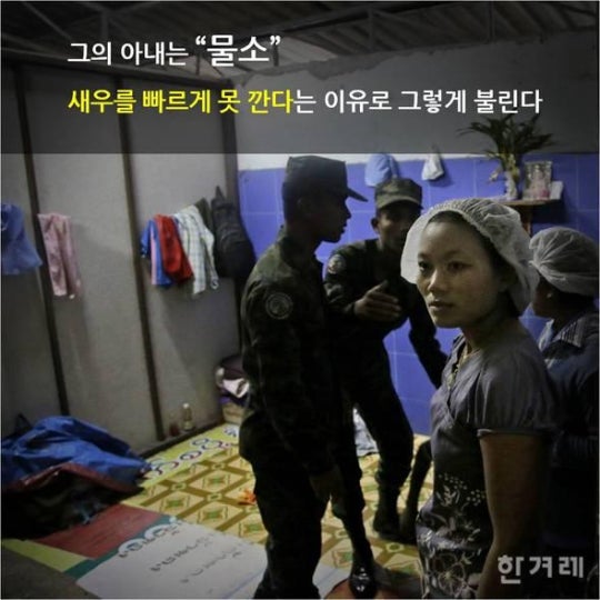 당신이 먹는 칵테일 새우의 진실 | 인스티즈