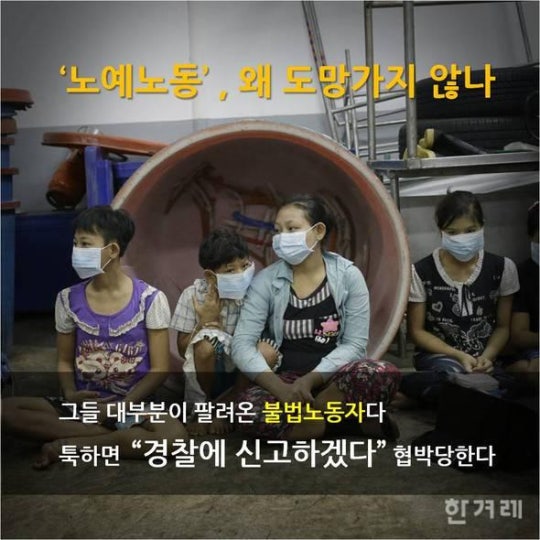 당신이 먹는 칵테일 새우의 진실 | 인스티즈