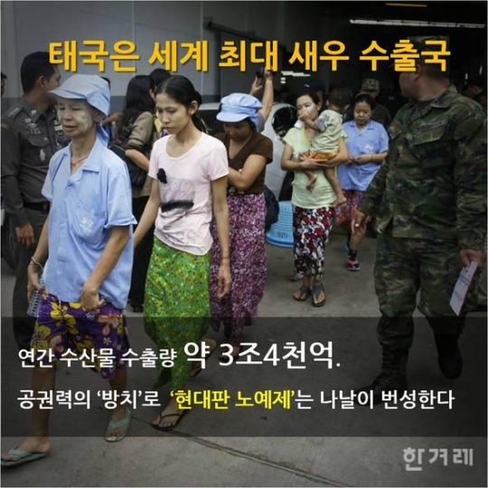 당신이 먹는 칵테일 새우의 진실 | 인스티즈