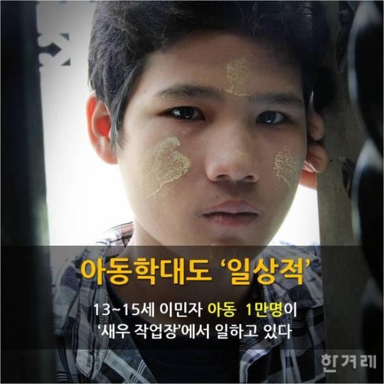당신이 먹는 칵테일 새우의 진실 | 인스티즈