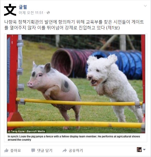 나향욱  “민중은 개·돼지” …‘개·돼지’들의 반응은?