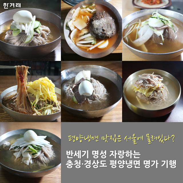[카드뉴스] 충청·경상도로 떠나는 평양냉면 명가 기행
