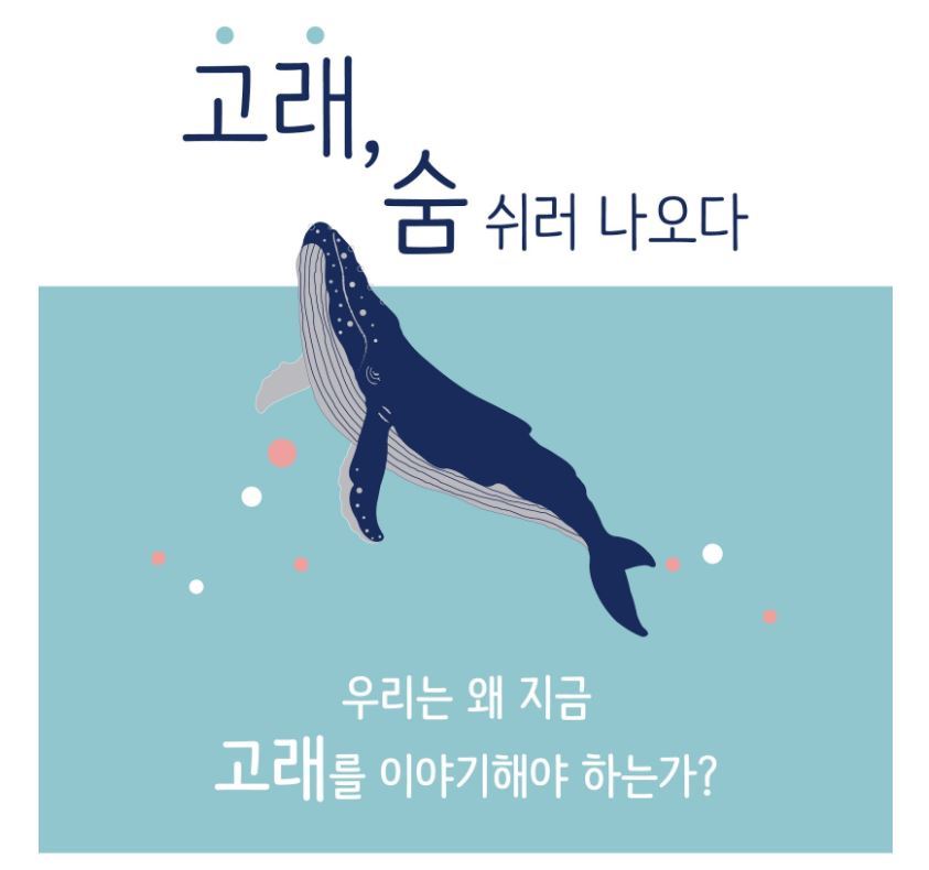  숨 쉬러 나온 고래를 만나볼래요? 