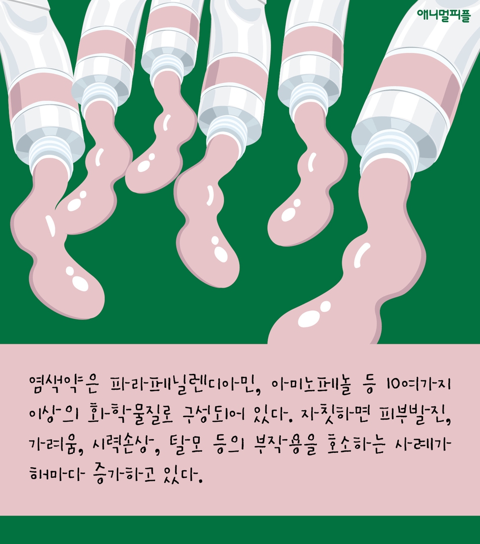  [카드뉴스] 알록달록 염색한 개, 기분도 밝을까요? 