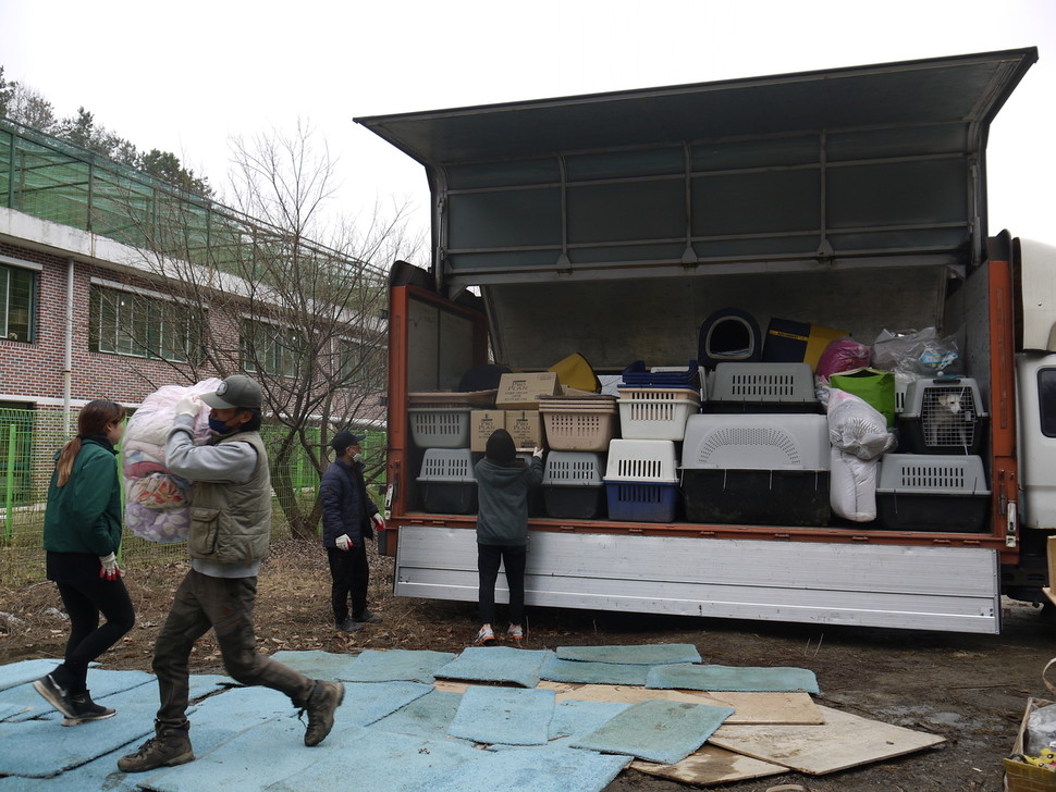 사랑받다 버려진 ‘상근이들’ 이제 맘껏 짖기를!