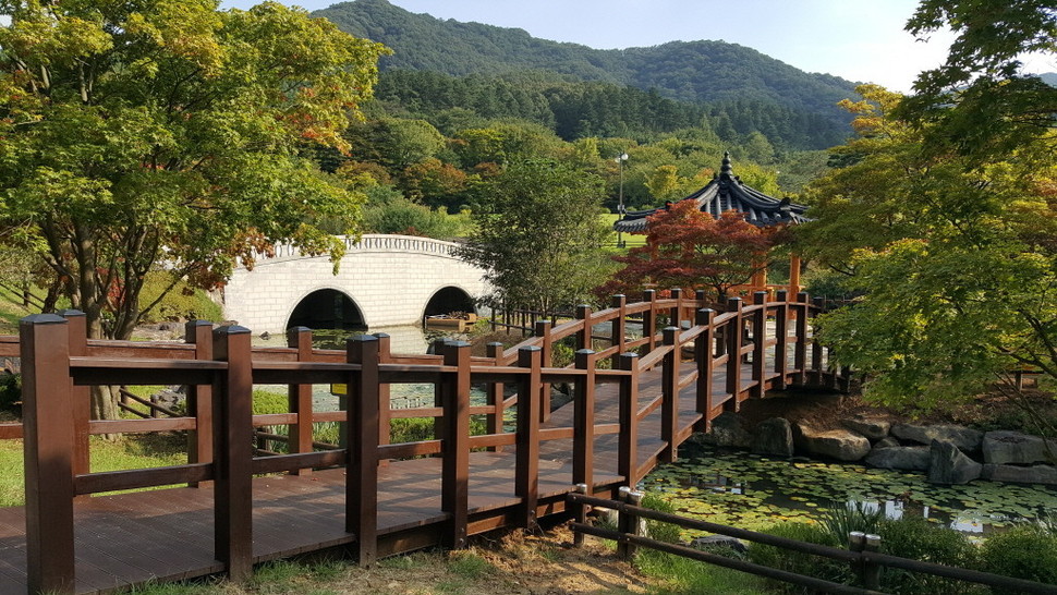 숲에서 ‘코로나블루’ 이겨보자…금강·안면 휴양림 25일 개방