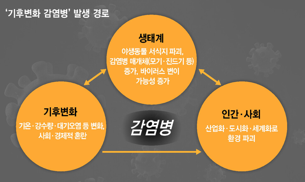 코로나 진짜 주범은?…조선판 코로나도 기후변화 때 창궐했다