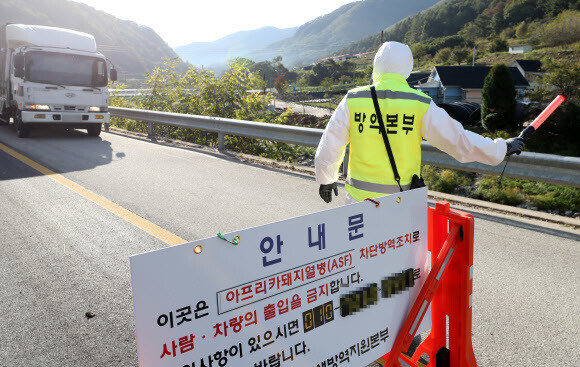 1년만에 또… 화천농장서 아프리카돼지열병 발생