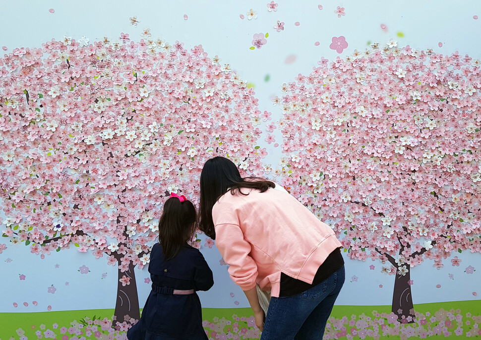 [포토에세이] 사랑이 꽃피는 나무 / 강창광