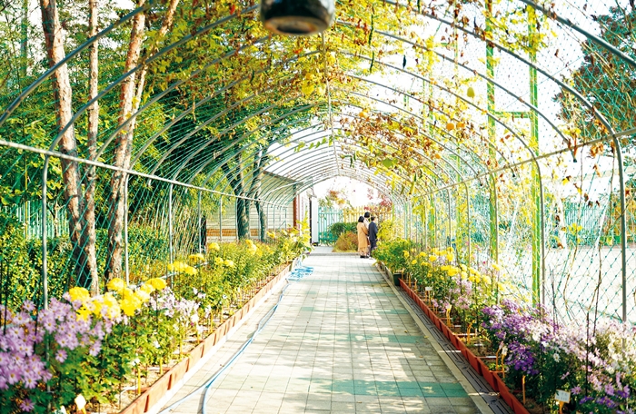 “생활공간 속에 꽃과 나무 가꾼 ‘꽃 같은 마음’ 찾습니다”