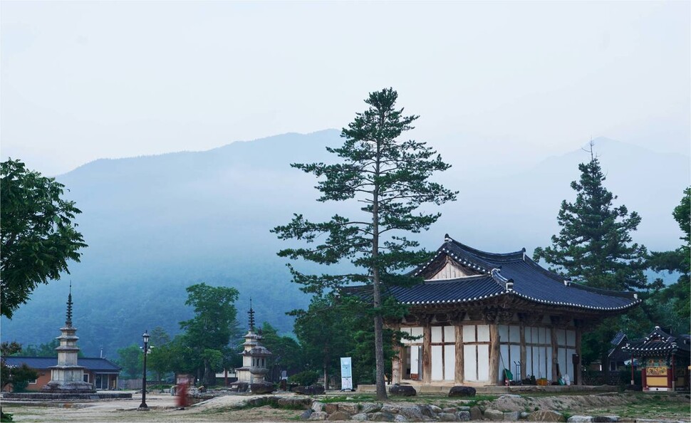 지리산을 걷는 건 몸 안 소나무를 숨쉬게 하는 것