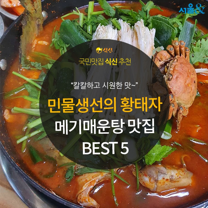 [카드뉴스] 민물 생선계의 황태자, 메기매운탕 맛집 BEST 5