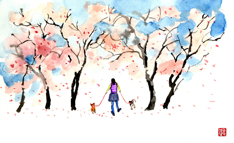 [김금숙의 강화일기] 세번째 봄