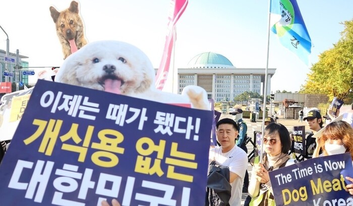 ‘개 식용 금지’ 특별법 올해 만든다…2027년부터 도살 단속