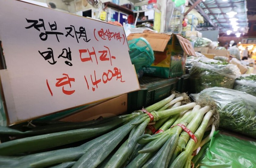 “‘대파’만 없었어도 20명 살아왔을 것”…국힘, 용산 책임론 부글