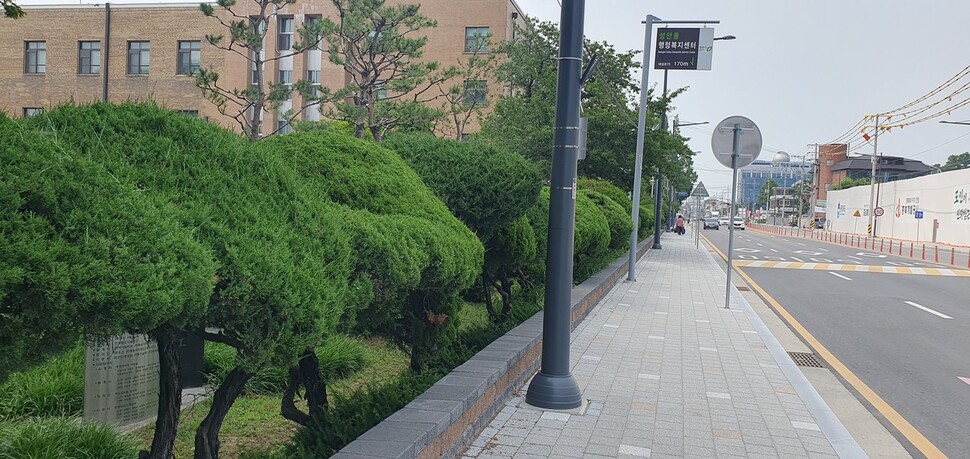 4년짜리 단체장이 100살 나무 뽑아…‘파묘’ 같은 충북도청