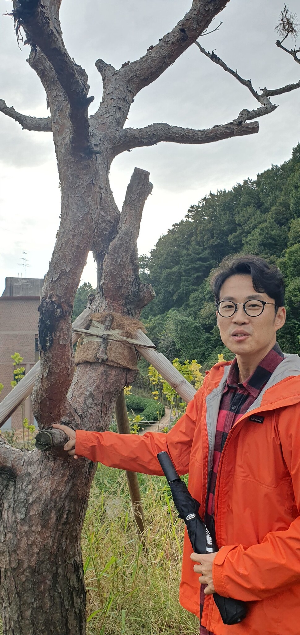 나무 77% 제거…빽빽한 정원을 허허벌판 만든 충북도청