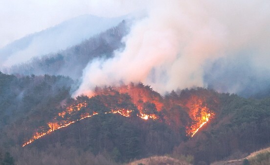 산청 산불, 지리산국립공원 200m 앞까지 접근