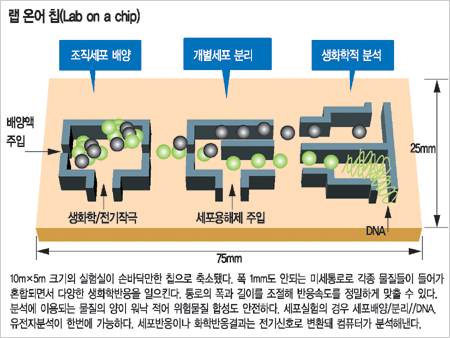 [바이오테크 시대로] 손 안의 작은 실험실 `랩 온 어 칩` 나노바이오 `돌풍의 핵`