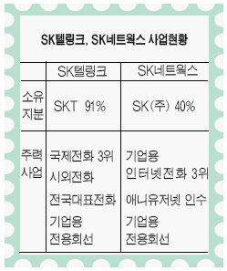 SK, 유선통신 영토확장 가속