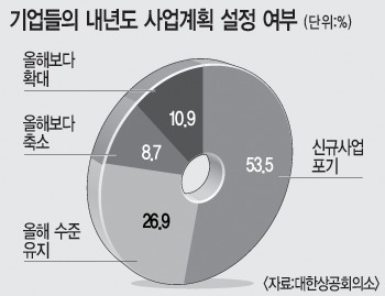 기업 절반 이상 내년 신규사업 포기
