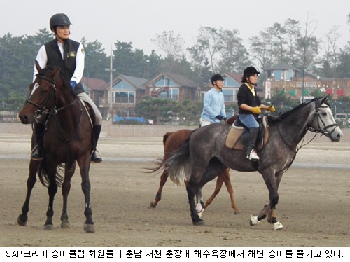 [마니아 & 동호회] SAP코리아 승마클럽
