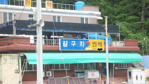 [디카갤러리] 내년에도 갈구지 간다.