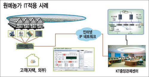 IT융합 산업화 모델 농가현장에 적용