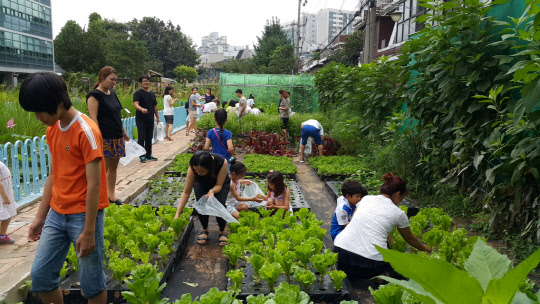 구로구, 어린이 `과학 생태 체험교실` 운영