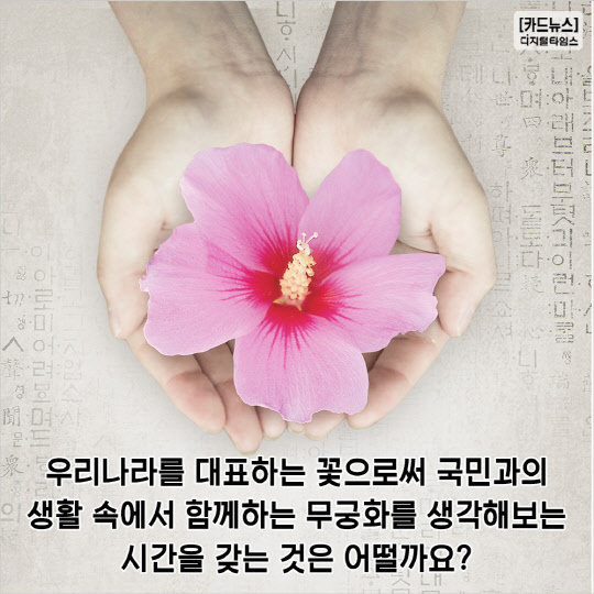 [카드뉴스] 8월 8일은 무슨 날일까요? `무궁화의 날`입니다!