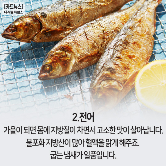 백로 참고 이미지 2