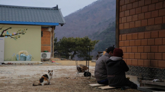 산골에 터닦고, 기둥 세워 지은 `나만의 집`