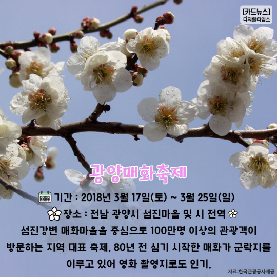 [카드뉴스] 따스한 봄이 왔어요~ 3월에 시작하는 봄꽃 축제