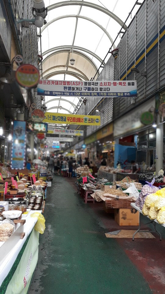 [풀뿌리상권 살려내자] 약초테라피·황토 게하… 묵을수록 웰빙 `찐 정선` 납시오