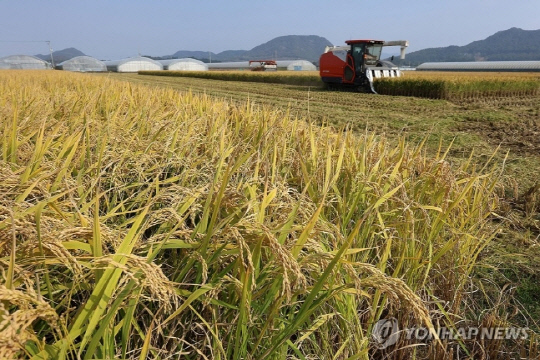 취약층 정부양곡 판매가 동결… 농식품부, 10㎏당 최소 2500원