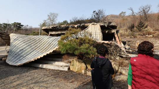 삼성·SK·현대차·LG·포스코 등 기업들, 산불 복구 지원 힘 보태