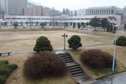 사진 속에 희망 담는 소년원 아이들