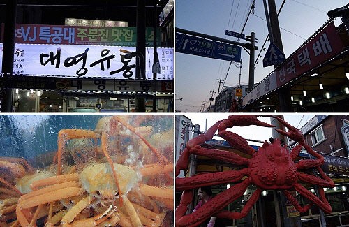 새로운 트렌드 맛집 여행 강릉 주문진 맛집 대영유통 인기 비결은?