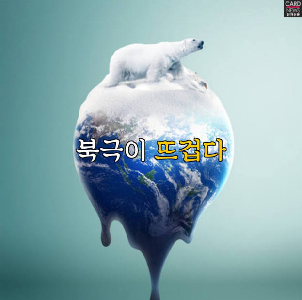 [카드뉴스]북극이 뜨겁다