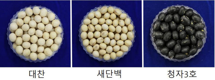 농진청-건국대, 국산콩으로 맛·기능 좋은 전두유 제조 기술 개발